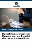 Marketinginstrumente im Management am Beispiel des Unternehmens Rusal