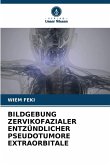 BILDGEBUNG ZERVIKOFAZIALER ENTZÜNDLICHER PSEUDOTUMORE EXTRAORBITALE BILDGEBUNG ZERVIKOFAZIALER ENTZÜNDLICHER PSEUDOTUMORE EXTRAORBITALE