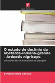 O estado de declínio da abetarda-indiana-grande - Ardeotis nigriceps