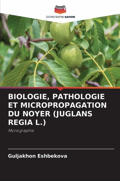 BIOLOGIE, PATHOLOGIE ET MICROPROPAGATION DU NOYER (JUGLANS REGIA L.)