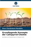 Grundlegende Konzepte der Calixpyrrol-Chemie