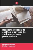Resposta mucosa de coelhos e bovinos às vacinas contra a pasteurelose Resposta mucosa de coelhos e bovinos às vacinas contra a pasteurelose