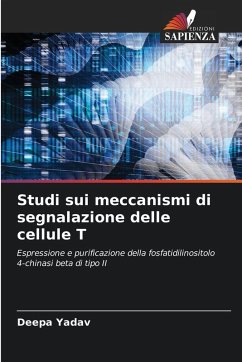 Studi sui meccanismi di segnalazione delle cellule T - Yadav, Deepa