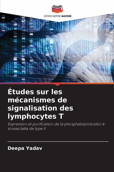 Études sur les mécanismes de signalisation des lymphocytes T Études sur les mécanismes de signalisation des lymphocytes T