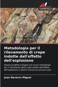 Metodologia per il rilevamento di crepe indotte dall'effetto dell'esplosione - Navarro Miguel, Juan