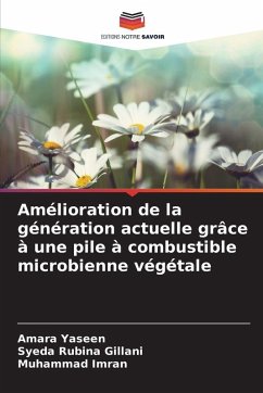 Cover Amélioration de la génération actuelle grâce à une pile à combustible microbienne végétale