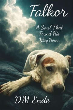 Falkor A Soul That Found His Way Home - Ende, D M