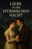Liebe in der stürmischen Nacht (eBook, ePUB)