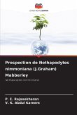 Prospection de Nothapodytes nimmoniana (J.Graham) Mabberley