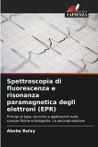 Spettroscopia di fluorescenza e risonanza paramagnetica degli elettroni (EPR)