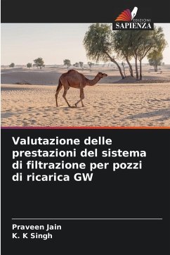 Cover Valutazione delle prestazioni del sistema di filtrazione per pozzi di ricarica GW