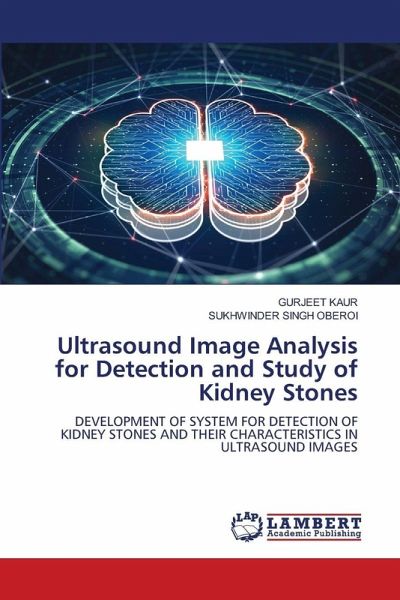 Ultrasound Image Analysis for Detection and Study of Kidney Stones