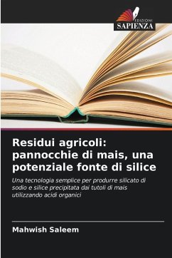 Residui agricoli: pannocchie di mais, una potenziale fonte di silice - Saleem, Mahwish