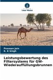 Leistungsbewertung des Filtersystems für GW-Wiederauffüllungsbrunnen