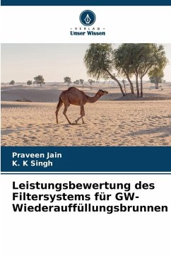 Cover Leistungsbewertung des Filtersystems für GW-Wiederauffüllungsbrunnen