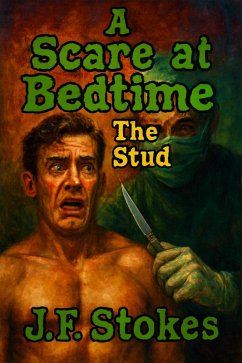 Cover A Scare at Bedtime: The Stud (eBook, ePUB)