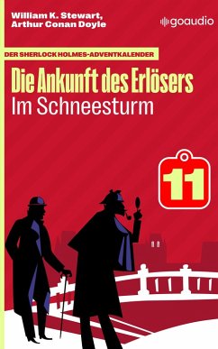 Cover Im Schneesturm (eBook, ePUB)