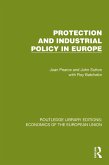 Protection and Industrial Policy in Europe (eBook, PDF)