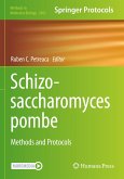 Schizosaccharomyces pombe