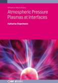 Atmospheric Pressure Plasmas at Interfaces (eBook, ePUB)