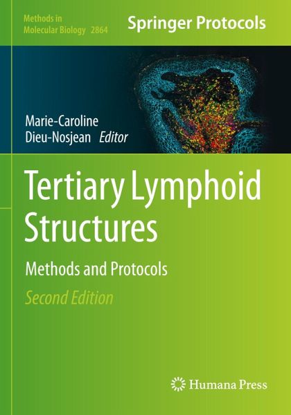Tertiary Lymphoid Structures