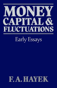 Cover Money, Capital, & Fluctuations (eBook, ePUB)