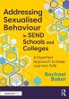 Addressing Sexualised Behaviour in SEND... - Bild 1
