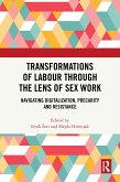 Transformations of Labour through the Lens of Sex Work (eBook, PDF)