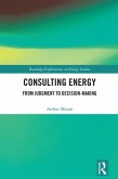 Consulting Energy (eBook, ePUB)
