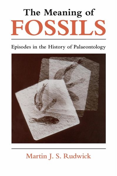 The Meaning of Fossils (eBook, ePUB)