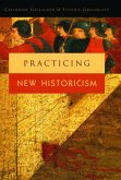 Practicing New Historicism (eBook, ePUB)