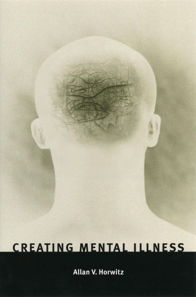 Creating Mental Illness (eBook, ePUB)
