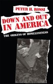Down and Out in America (eBook, ePUB)
