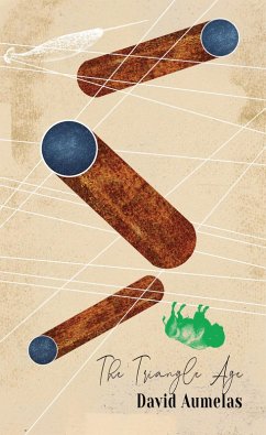 Cover The Triangle Age (eBook, ePUB)