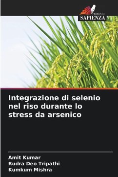 Cover Integrazione di selenio nel riso durante lo stress da arsenico