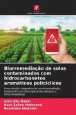 Biorremediação de solos contaminados com hidrocarbonetos aromáticos policíclicos