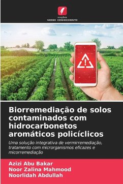 Cover Biorremediação de solos contaminados com hidrocarbonetos aromáticos policíclicos
