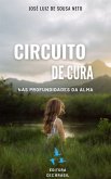 Circuito de Cura: Nas Profundidades da Alma. (eBook, ePUB)