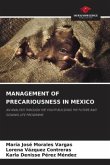 MANAGEMENT OF PRECARIOUSNESS IN MEXICO MANAGEMENT OF PRECARIOUSNESS IN MEXICO