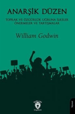 Cover Anarsik Düzen