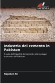 Industria del cemento in Pakistan