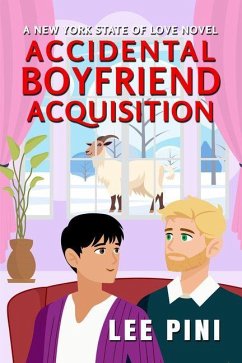 Cover Accidental Boyfriend Acquisition