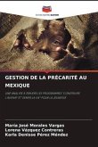GESTION DE LA PRÉCARITÉ AU MEXIQUE