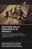 GESTIONE DELLA PRECARIETÀ IN MESSICO