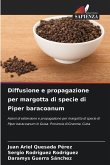 Diffusione e propagazione per margotta di specie di Piper baracoanum