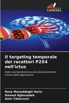 Cover Il targeting temporale dei recettori P2X4 nell'ictus