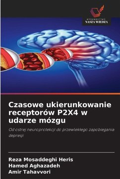 Cover Czasowe ukierunkowanie receptorów P2X4 w udarze mózgu
