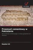 Przemys¿ cementowy w Pakistanie