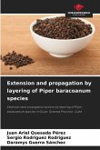Extension and propagation by layering of Piper baracoanum species