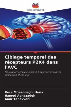 Cover Ciblage temporel des récepteurs P2X4 dans l'AVC